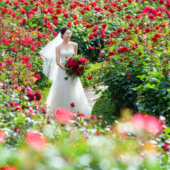 ＜レッドローズガーデン＞32種3万輪のバラに囲まれた英国式ガーデン。
