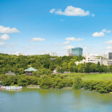 館内からは上野公園の緑を望む