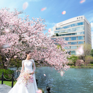 上野公園不忍池畔に立地|LUCIS（ルーキス）の写真(48766998)