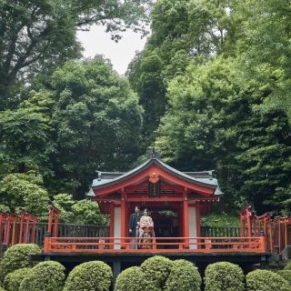 神社×緑
