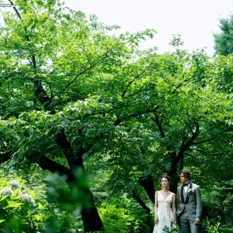 大自然の中で幻想的な一枚を。上野公園の緑とのお写真撮影も可能でございます。