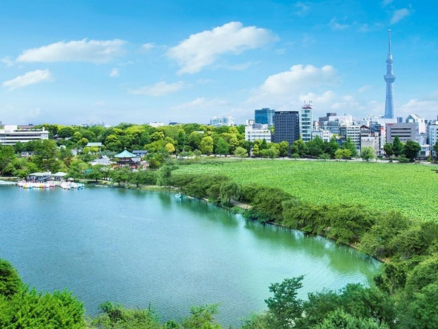 【1件目来館】ディナーチケットプレゼント