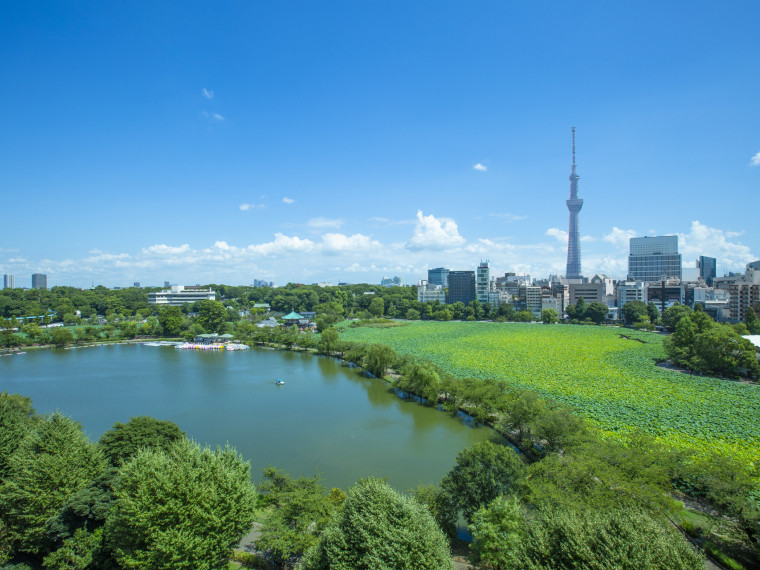 緑溢れる上野公園と東京スカイツリーを一望する圧巻の眺望