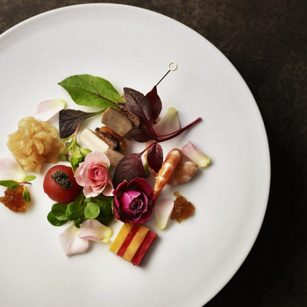 新LUCIS オリジナルコースメニューは見た目にも新しい華やかなお料理です|LUCIS（ルーキス）の写真(956743)