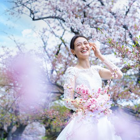 春は桜が満開で前撮り・本番共に人気シーズンです|LUCIS（ルーキス）の写真(48830069)