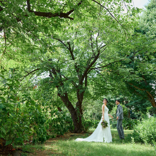 LUCIS（ルーキス）