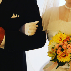 パパマママタニティ婚の実績は1000組以上安心して任せられる