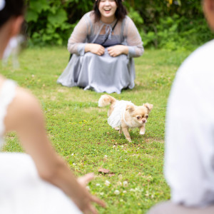 家族であるペットと一緒にウエディング。結婚式にペットも参加することで家族の絆もさらに深まります！|ホテルフラッグス佐世保九十九島の写真(52374118)