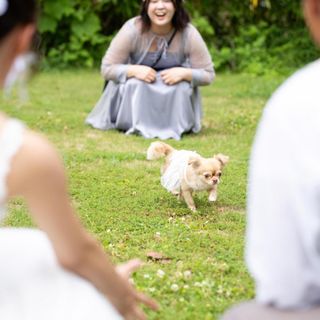 【憧れのペット婚】大切な家族と過ごすプライベートWD相談会