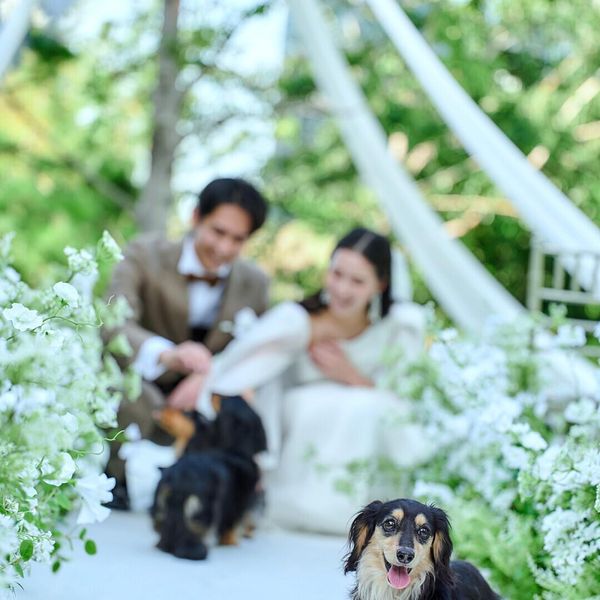 【愛犬と一緒に結婚式】大切な家族の一員と叶える結婚式が誕生！