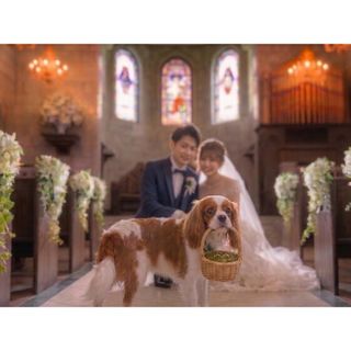 【ペット婚人気NO.1】愛犬と誓うリングドッグ演出*最大15大特典付き