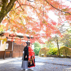 秋の色鮮やかな紅葉も素敵ですよ☆広い境内でたくさん思い出をつくって♪|長野縣護國神社の写真(22134699)