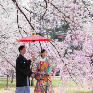 参道脇は桜がいっぱい♪とてもお写真映えする空間です！|長野縣護國神社の写真(2992650)
