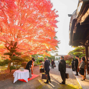 紅葉の秋も見事！こちらは披露宴後のお見送りシーンです。おひらきの瞬間まで印象に残ることでしょう|長野縣護國神社の写真(34473285)