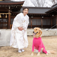 長野縣護國神社