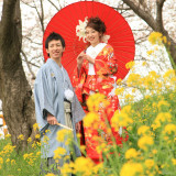 春には 桜と菜の花と共に優雅なショットが撮れます☆