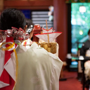 .|來宮神社の写真(45392848)