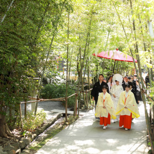 .|來宮神社の写真(45393017)