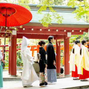 .|來宮神社の写真(45393016)