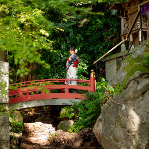 .|來宮神社の写真(45393065)