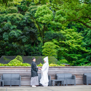 .|來宮神社の写真(45392948)