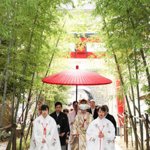 .|來宮神社の写真(45393018)