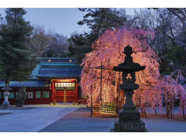 大國魂神社 結婚式場