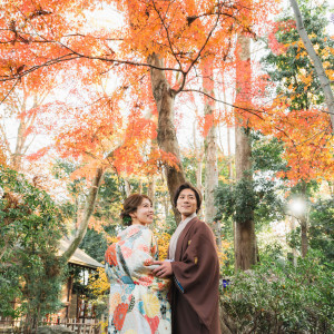 国内外からも人気の秋の紅葉ロケフォトは残席わずか！