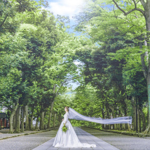 自然ゆかな杜|大國魂神社 結婚式場の写真(56293788)