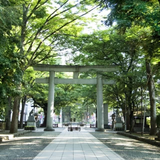 府中駅から続く参道が歴史を物語ります。