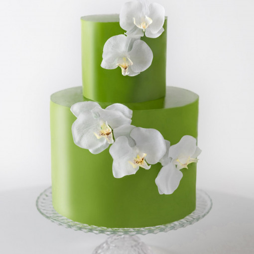 大國魂神社 結婚式場