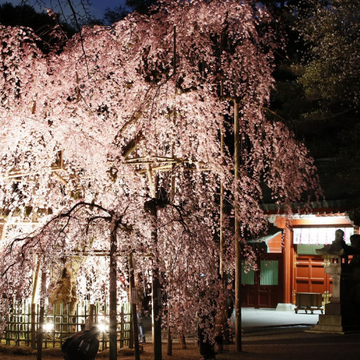 大國魂神社 結婚式場