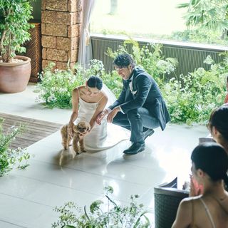 ドレスアップしたペットとのフォトタイムやリングドッグ演出が叶う
