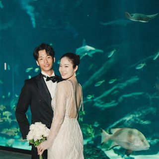 水族館での幻想的なお写真も残せます。