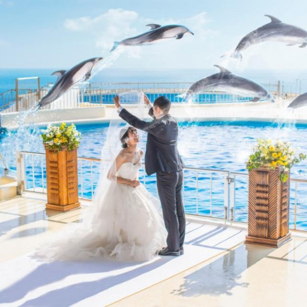 マリンワールドでの挙式・披露宴・前撮りも可能！