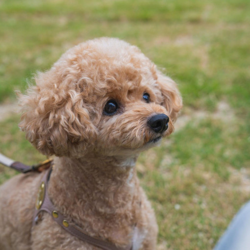 ベルヴィ郡山館
