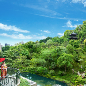 東京には、ひとを祝福する森がある。