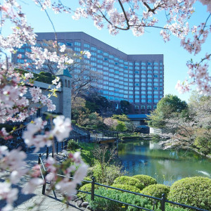 #桜 ＃庭園|ホテル椿山荘東京の写真(16587794)