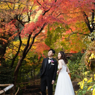 \新会場リニューアル完成!/
紅葉の庭園と旬を味わう贅沢豪華試食フェア