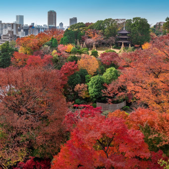秋～紅葉が美しく、前撮りも人気の季節。
