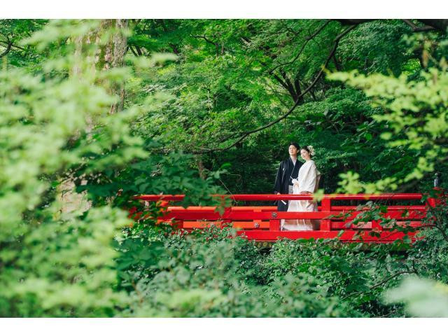 お得な特典もご用意！この機会をお見逃しなく