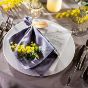 ラヴィーナ姫路（Wedding Manor House La Viena Himeji）