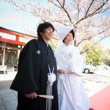 境内に咲く季節折々の花と撮影も素敵です。