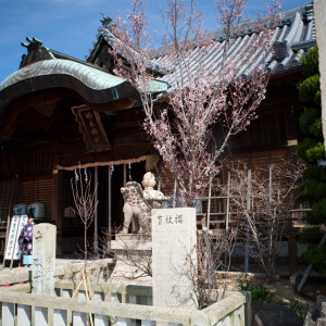 ご本殿外観（3）|柿本神社の写真(587189)