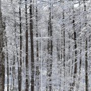 THE NIDOM RESORT WEDDING  ニドムリゾートウエディング