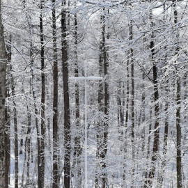 【～4月でご検討の方必見】お得なウィンタープランフェア❅