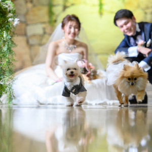 大切な家族の一員である、わんちゃんと一緒に結婚式を|THE NIDOM RESORT WEDDING  ニドムリゾートウエディングの写真(38040120)