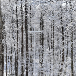【~4月でご検討の方必見】お得なウィンタープランフェア❅