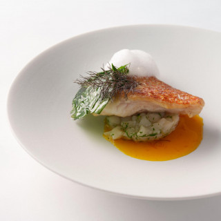 羅臼産キンキのポワレ/焦がしほうれん草/帆立のタルタル/サフラン・ソース