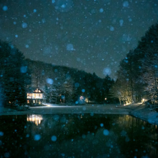 夜も問題ありません。ライトアップされた森と冬の静寂な空間で冬ならではの雰囲気を。